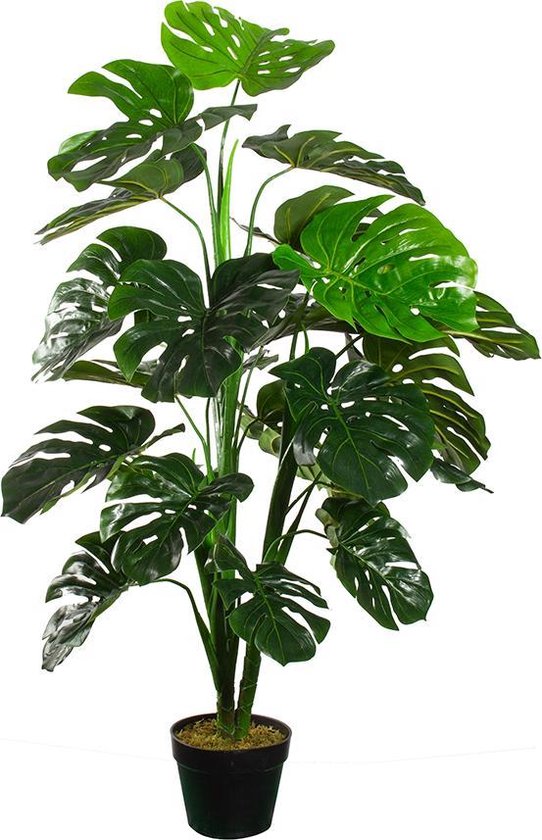Kunstplant Monstera H120 cm - HTT Decorations